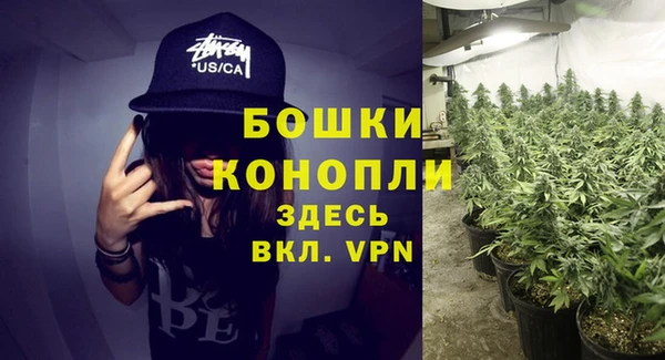 spice Абаза