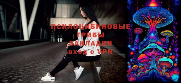 МДПВ Весьегонск