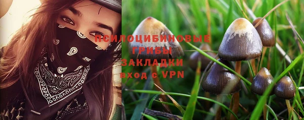 spice Абаза