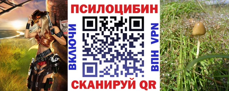 Псилоцибиновые грибы Cubensis  мега маркетплейс  Вытегра 